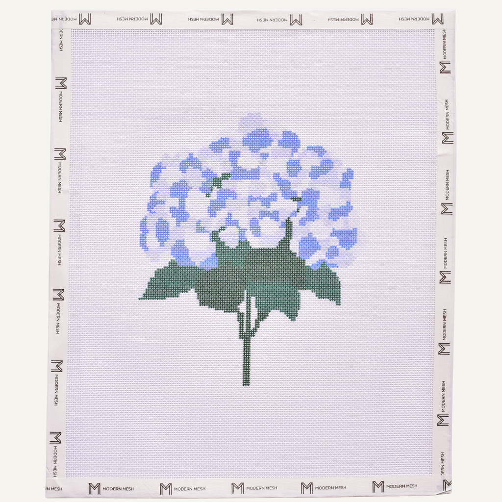 Hydrangea