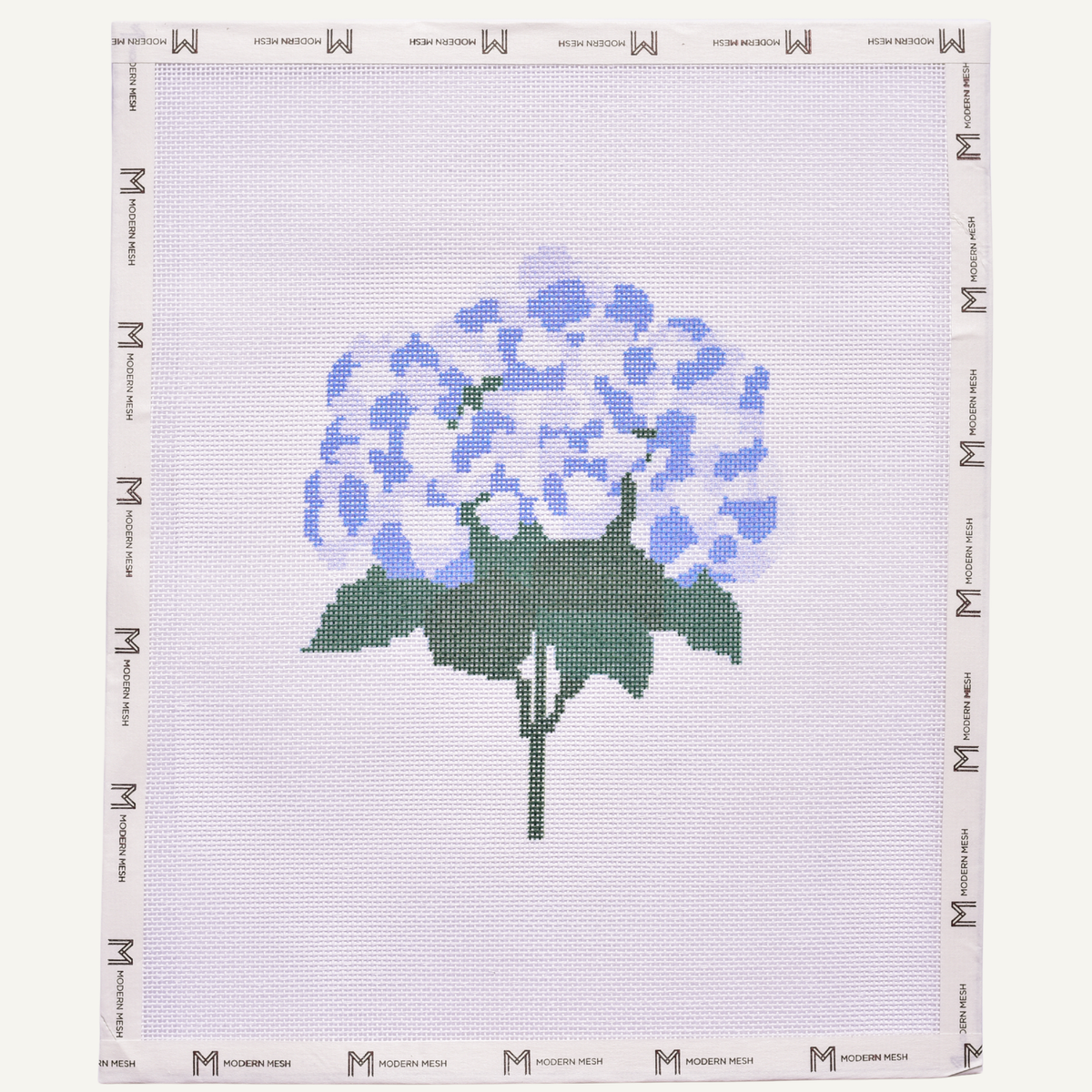 Hydrangea