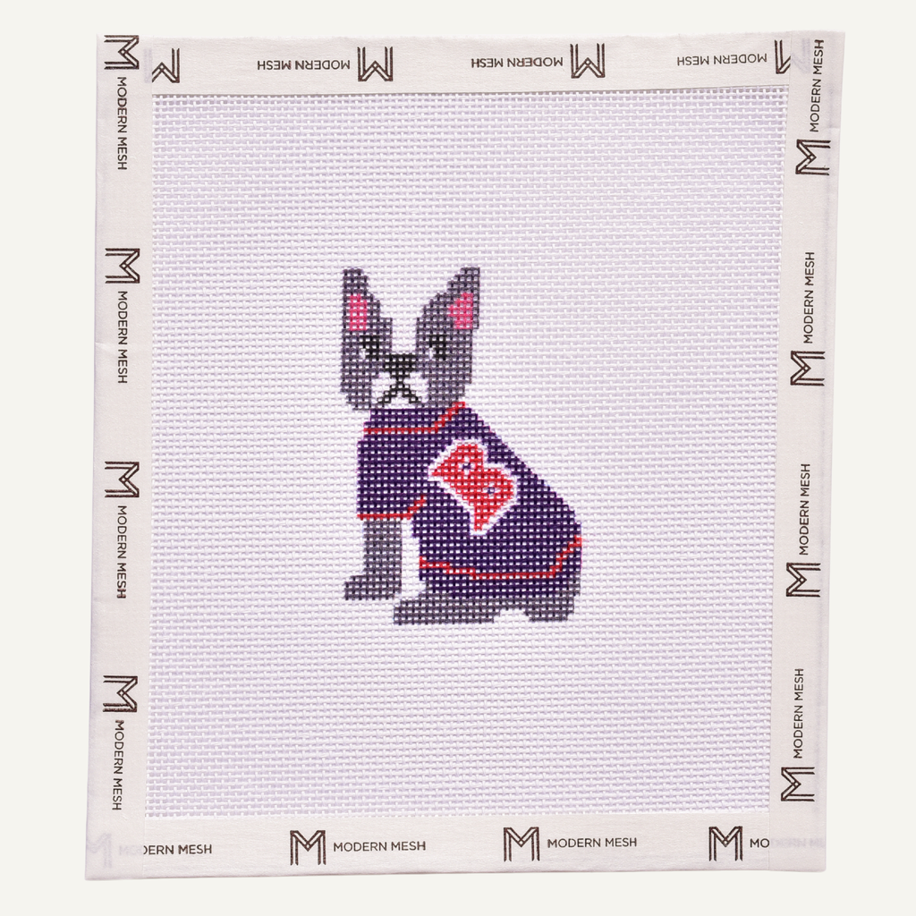 Boston Terrier