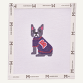 Boston Terrier