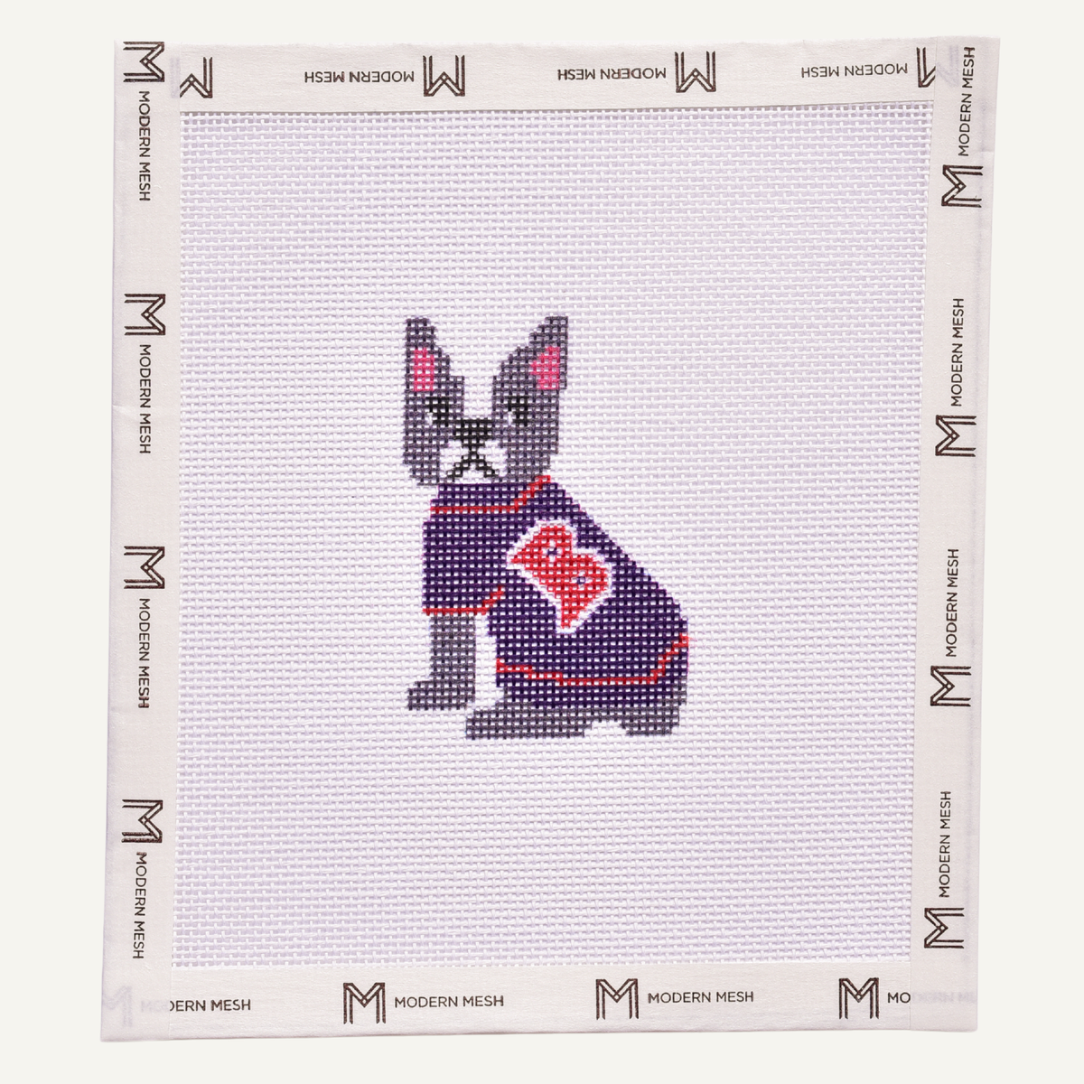 Boston Terrier