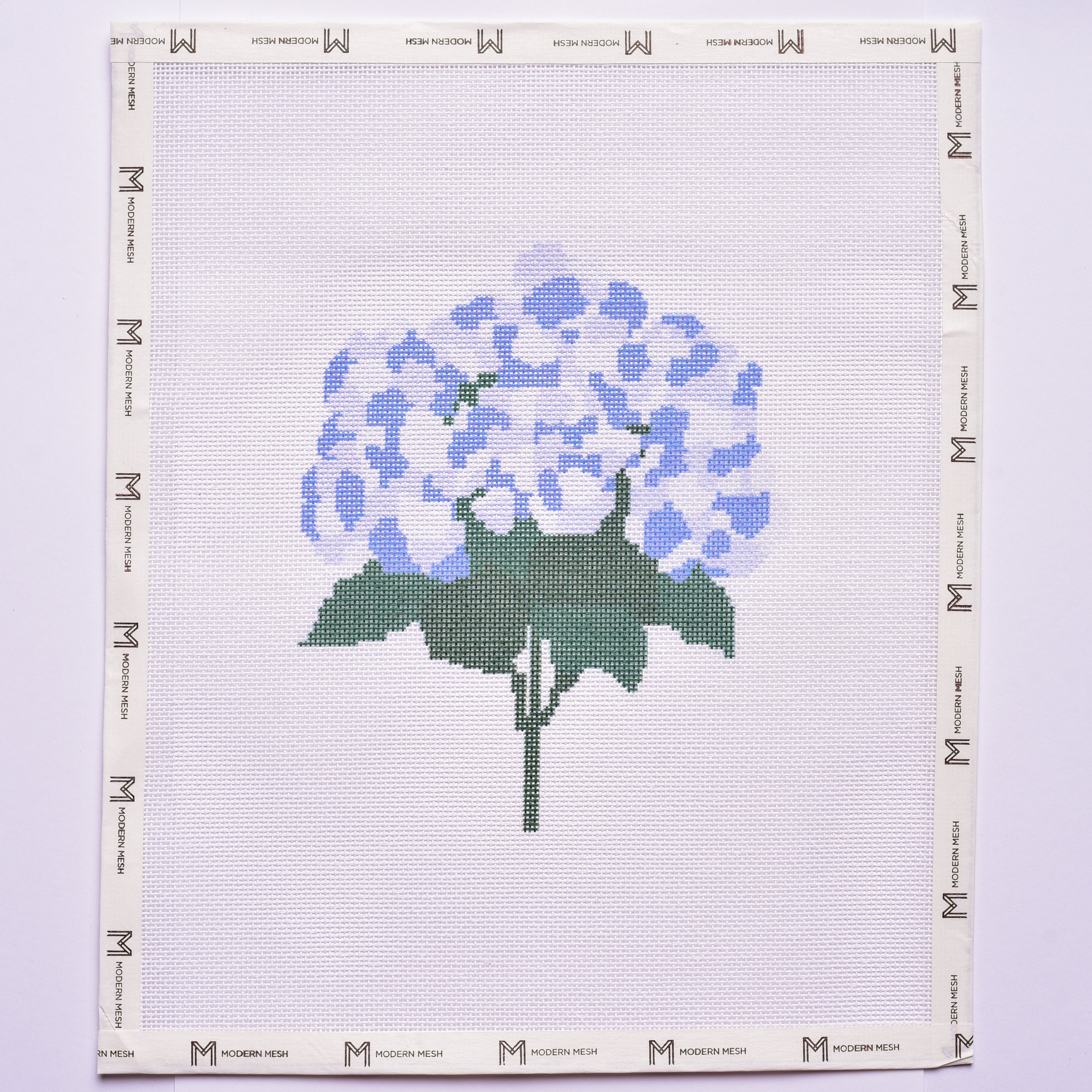 Hydrangea