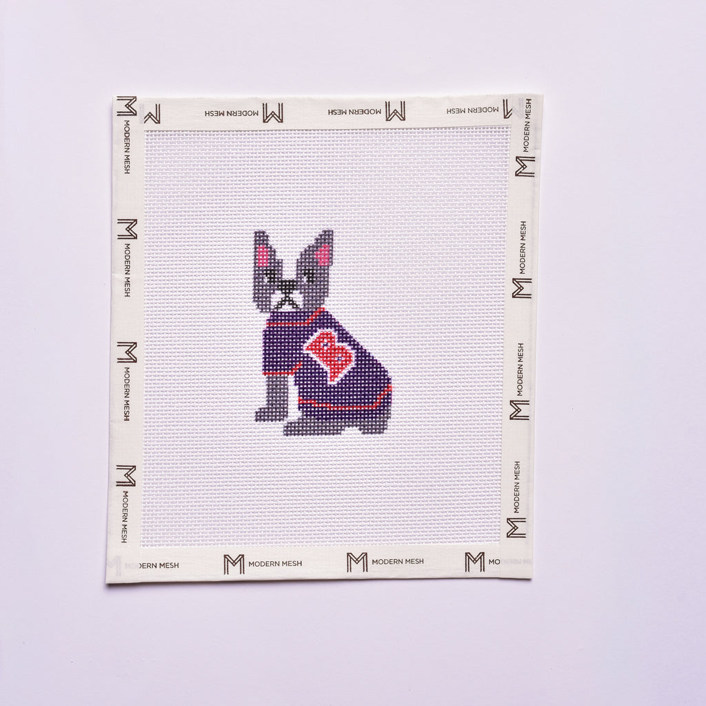 Boston Terrier