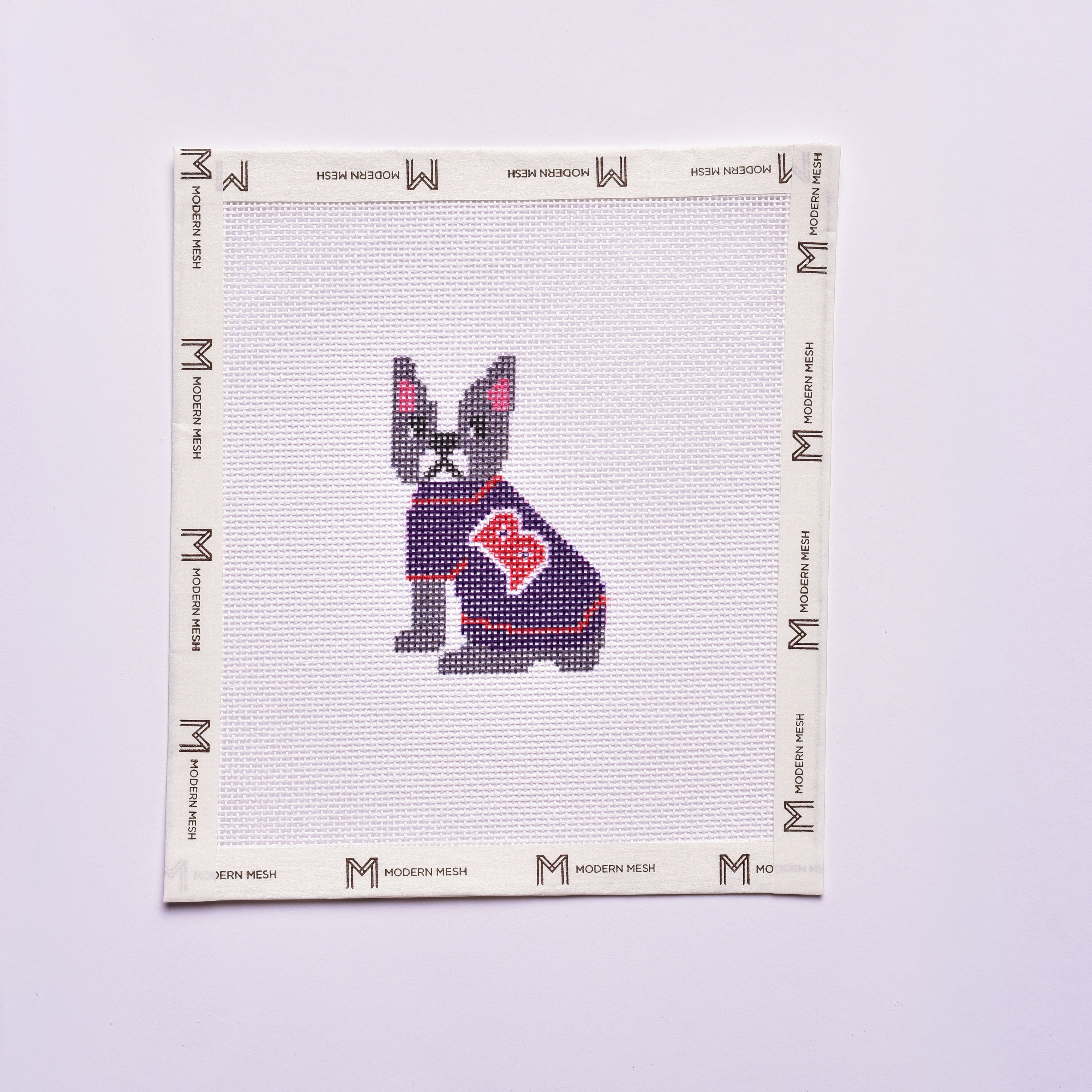 Boston Terrier