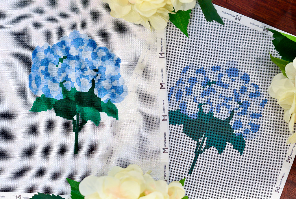 Hydrangea