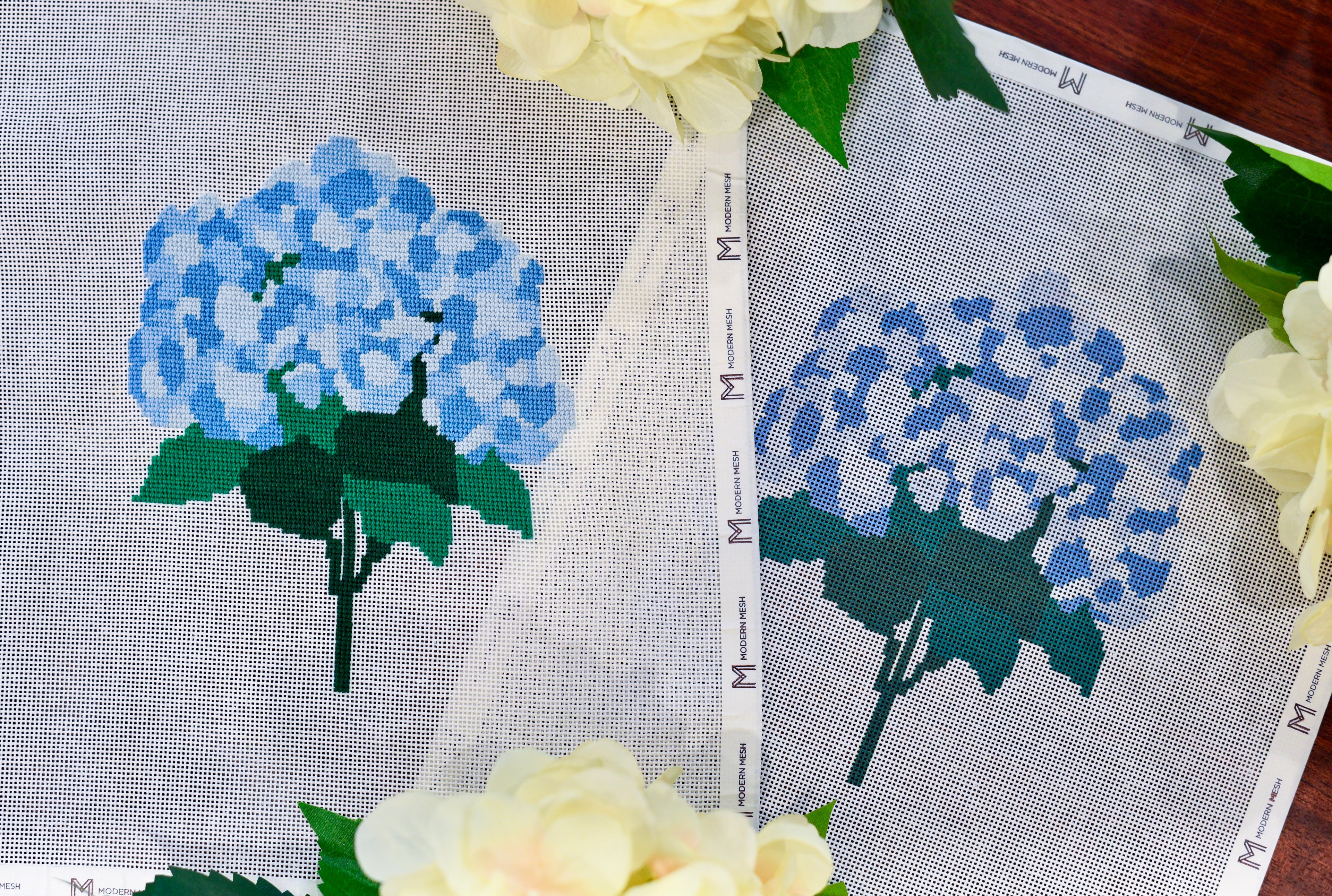 Hydrangea